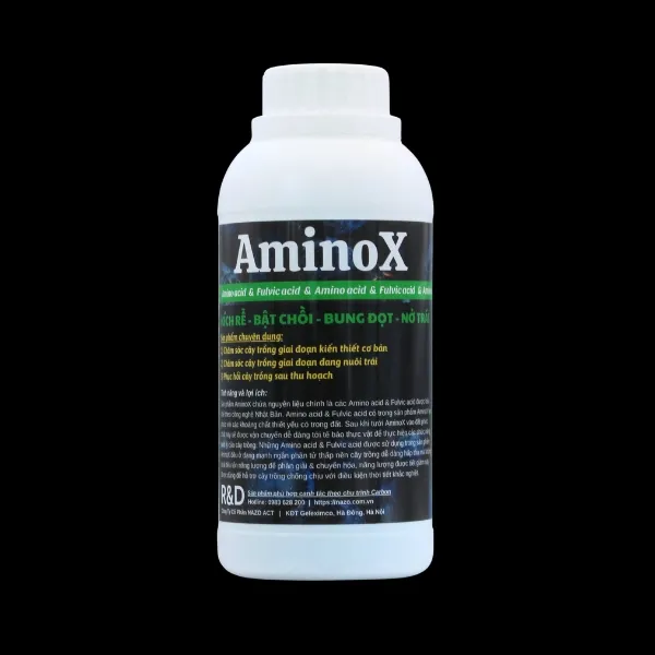 AminoX