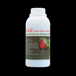 NSS Nano Silic Sulfua